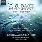 Francesco Molmenti & Luigi Accardo - J.S. Bach: Six Trio Sonatas, Bwv 525-530 (CD)