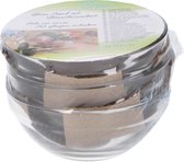 6x Snack/serveerschalen van glas 10 x 8 cm 200 ml - Schalen en kommen - Keuken accessoires - Servies