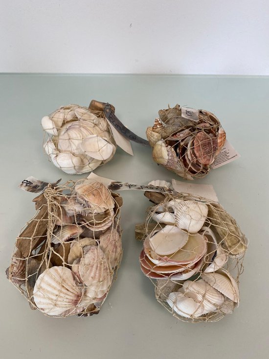 Set van 100 schelpen, natuurlijke schelpset, onbewerkte