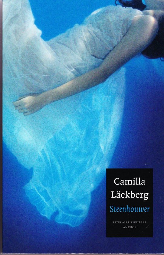 Fjällbacka 3 - Steenhouwer - cover