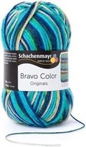 Schachenmayr Bravo Color 50 Gram - 2119