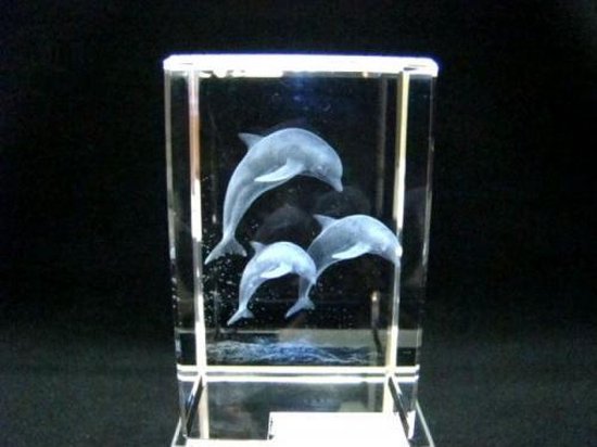 Glasblokje springende dolfijnen