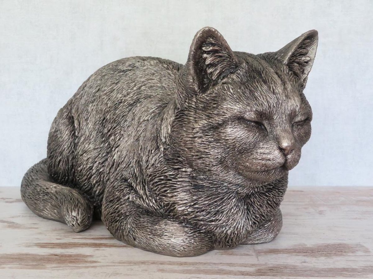Asbeeld Katten Urn Kat Dromend Groot Bol