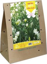 Bloembollen cadeaupakket - Fairytale Garden White Knight - 1 x 50 bloembollen