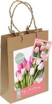 Selected from the flower fields | Tulip per 18 | Bloembollen | Flower bulbs | Najaarsbloeier |Bulb les fleurs | Cadeau