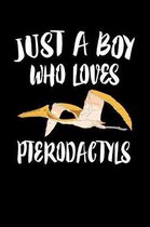 Just A Boy Who Loves Pterodactyls