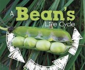 A Bean's Life Cycle