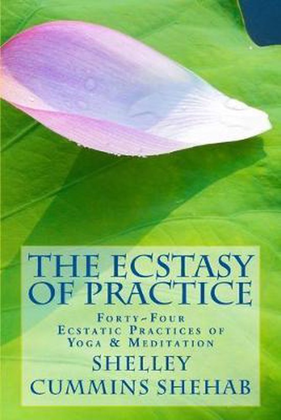 The Ecstasy of Practice - cover