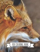 Fox Coloring Book