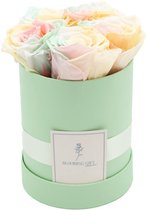 Flowerbox longlife rozen | GREEN | Small | Bloemenbox | Longlasting roses MULTICOLOR | Rozen | Roses | Flowers