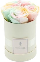 Flowerbox longlife rozen | WHITE | Small | Bloemenbox | Longlasting roses MULTICOLOR | Rozen | Roses | Flowers