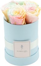 Flowerbox longlife rozen | BLUE | Small | Bloemenbox | Longlasting roses MULTICOLOR | Rozen | Roses | Flowers