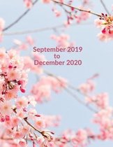 September 2019 to December 2020
