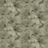 Annuell Hibiscus zand 11005