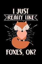 I Just Really Like Foxes, Ok?: A Journal, Notepad, or Diary to write down your thoughts. - 120 Page - 6x9 - College Ruled Journal - Writing Book, Per