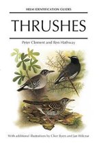 Helm Identification Guides- Thrushes