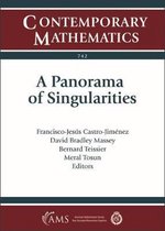 Contemporary Mathematics-A Panorama of Singularities