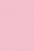 My Pink Notebook: Softcover Purse-Size 6x9 College Ruled Notebook with Subtle Light Pink Matte Cover