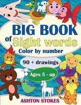 Big Book of Sight Words