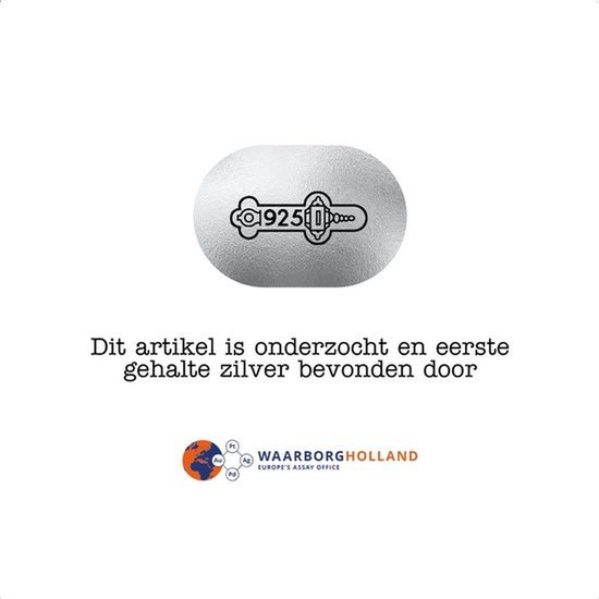Ovalen zilveren munt met 925 keurmerk en "WAARBORGH HOLLAND" logo.