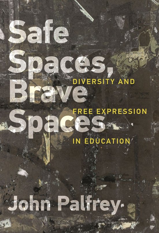 Safe Spaces, Brave Spaces - cover