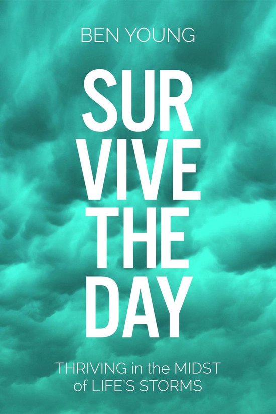 Survive the Day - cover