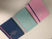 Notitieboekjes, roze en blauw ( 3 stuks )