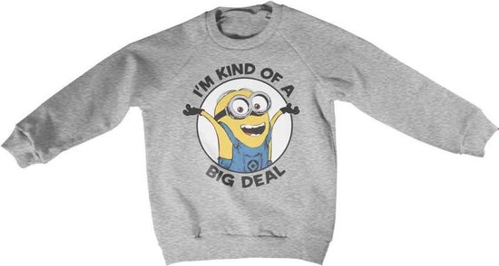 Minions Sweater/trui kids -Kids tm 6 jaar- I'm Kind Of A Big Deal Grijs