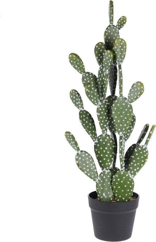 Detective vastleggen redden Kunst cactus in pot 76cm, kunstplant Opuntia cactusplant | bol.com