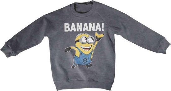 Minions Sweater/trui kids -Kids tm 6 jaar- Banana! Grijs