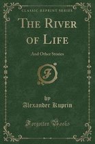 The River of Life