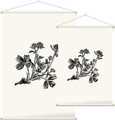 Sibbaldia Procumbens zwart-wit (Procumbent Sibbaldia) - Foto op Textielposter - 40 x 60 cm