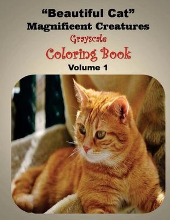 Cat Magnificent Creatures- Beautiful Cat Magnificent Creatur ... - cover