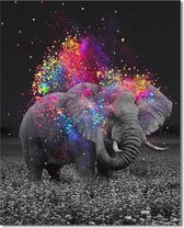 Schilderen op nummer Rainbow olifant 40x50cm