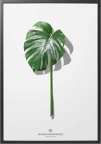 Hagedornhagen Poster - Hagedornhage Folium F - 40 X 30 Cm - Groen
