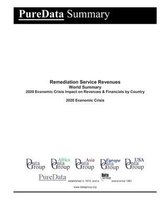 Remediation Service Revenues World Summary