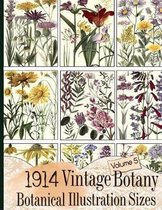Floral Ephemera- 1914 Vintage Botany Botanical Illustration Sizes