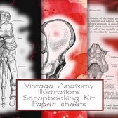 Vintage anatomy scrapbooking kit paper sheets