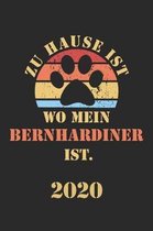 Bernhardiner 2020