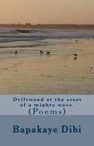 Driftwood at the crest of a mighty wave: (poems)