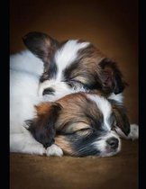 Cute Puppies Snuggling Notebook