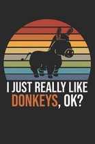 I Just Really Like Donkeys, OK?