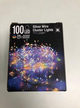 Feestverlichting 100 LED's - één stuk
