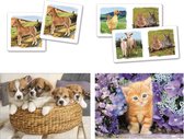 Clementoni Puzzel Superkit Animals 4-in-1 30 Stukjes