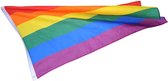 Regenboog / Pride vlag