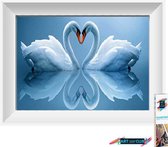 Artstudioclub®  Diamond painting volwassenen Zwanen 50 x 27 cm