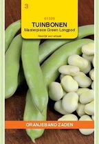 Oranjeband Zaden - Tuinboon Masterpiece Green Longpod 25g