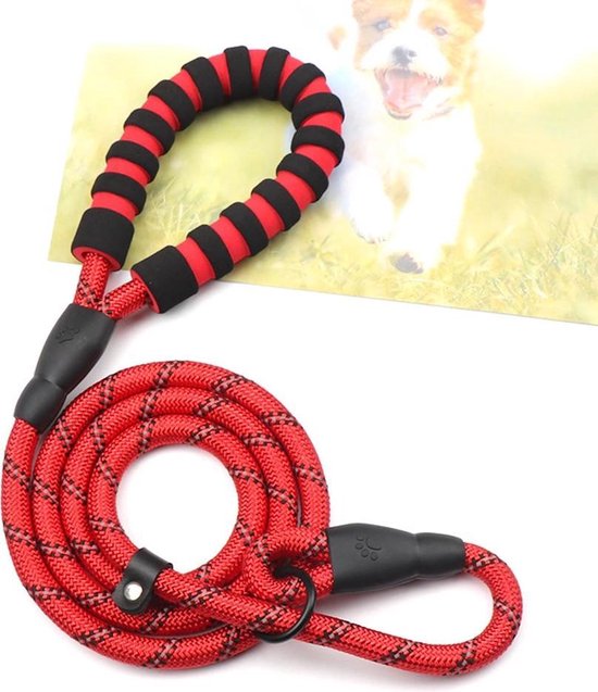 Hondenriem - Sliplijn - Cesar Millan - Trainings halsband- Rood - Pixypet |  bol.