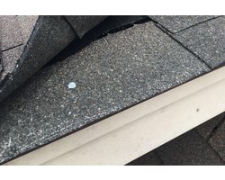 Daknagel, Asfaltnagel, Platkop, 2,8 x 15 mm, Staal, Thermisch Verzinkt, DIN1160, Geschikt Voor Shingles, (2200 stuks á 2.5Kg)