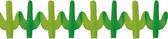 Mexicaanse Western Cactus thema feest slingers 300 cm - Papier - Brandvertragend